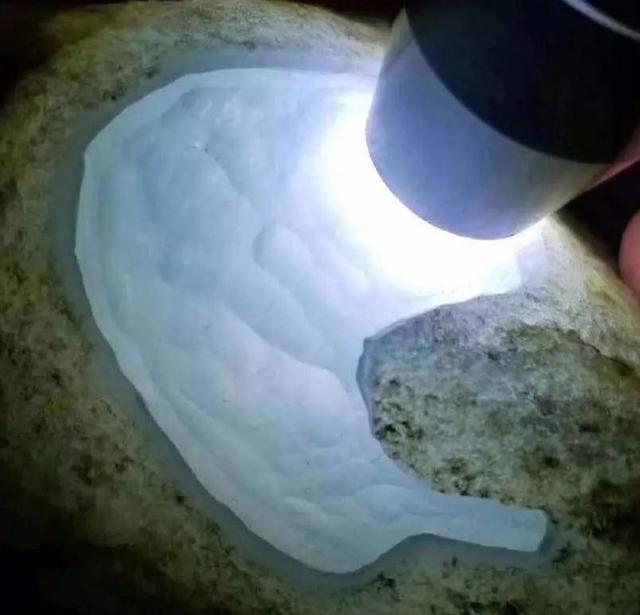 翡翠豆青种图片翡翠原石开豆种-第3张图片-翡翠网 翡翠豆青种图片翡翠原石开豆种-第3张图片-翡翠网