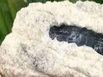 翡翠原石皮壳图解,莫西沙第二层翡翠原石-第2张图片-翡翠网 翡翠原石皮壳图解,莫西沙第二层翡翠原石-第2张图片-翡翠网