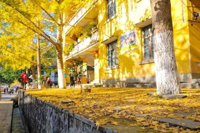 南雄翡翠原石吧翡翠原石的价位-第1张图片-翡翠网 南雄翡翠原石吧翡翠原石的价位-第1张图片-翡翠网