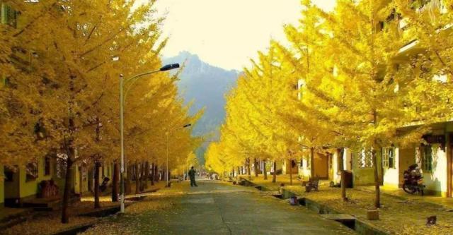 南雄翡翠原石吧翡翠原石的价位-第2张图片-翡翠网 南雄翡翠原石吧翡翠原石的价位-第2张图片-翡翠网