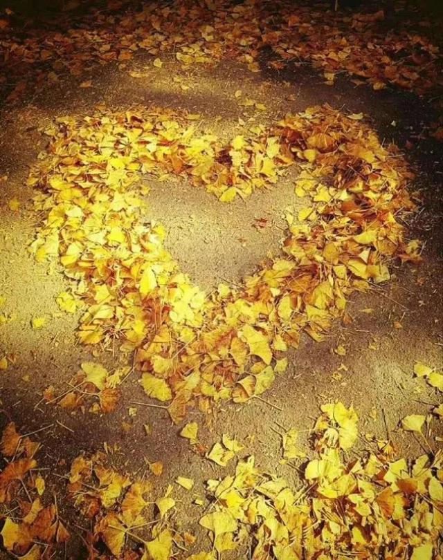 南雄翡翠原石吧翡翠原石的价位-第3张图片-翡翠网 南雄翡翠原石吧翡翠原石的价位-第3张图片-翡翠网