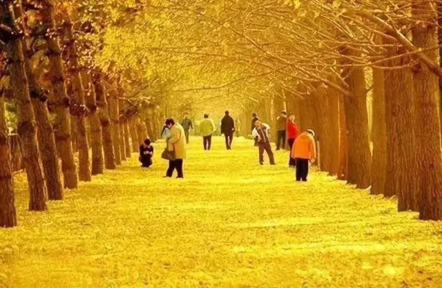 南雄翡翠原石吧翡翠原石的价位-第4张图片-翡翠网 南雄翡翠原石吧翡翠原石的价位-第4张图片-翡翠网