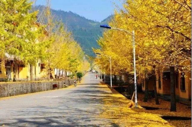 南雄翡翠原石吧翡翠原石的价位-第8张图片-翡翠网 南雄翡翠原石吧翡翠原石的价位-第8张图片-翡翠网