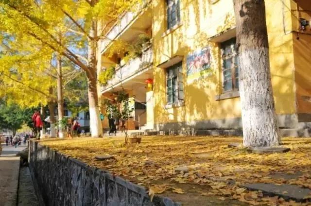 南雄翡翠原石吧翡翠原石的价位-第9张图片-翡翠网 南雄翡翠原石吧翡翠原石的价位-第9张图片-翡翠网