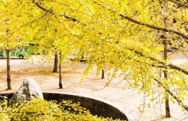 南雄翡翠原石吧翡翠原石的价位-第10张图片-翡翠网 南雄翡翠原石吧翡翠原石的价位-第10张图片-翡翠网