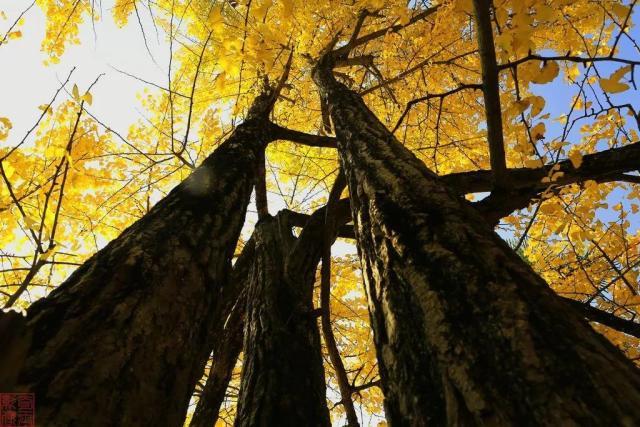 南雄翡翠原石吧翡翠原石的价位-第11张图片-翡翠网 南雄翡翠原石吧翡翠原石的价位-第11张图片-翡翠网