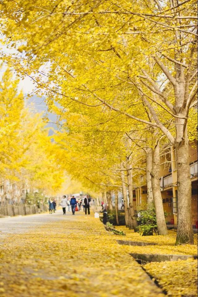 南雄翡翠原石吧翡翠原石的价位-第13张图片-翡翠网 南雄翡翠原石吧翡翠原石的价位-第13张图片-翡翠网