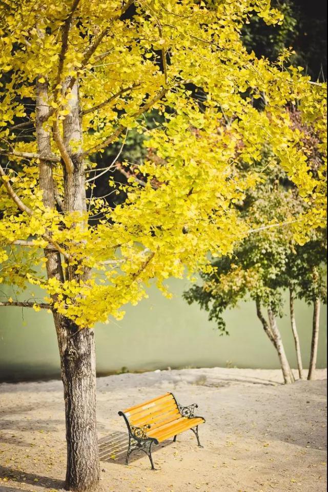 南雄翡翠原石吧翡翠原石的价位-第14张图片-翡翠网 南雄翡翠原石吧翡翠原石的价位-第14张图片-翡翠网