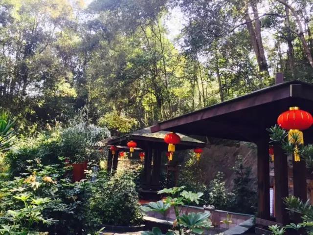 南雄翡翠原石吧翡翠原石的价位-第25张图片-翡翠网 南雄翡翠原石吧翡翠原石的价位-第25张图片-翡翠网