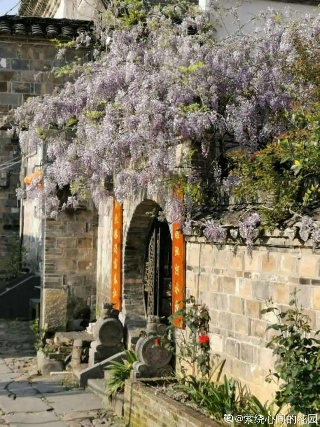 木棉花翡翠价格表,木棉花翡翠手镯-第54张图片-翡翠网 木棉花翡翠价格表,木棉花翡翠手镯-第54张图片-翡翠网