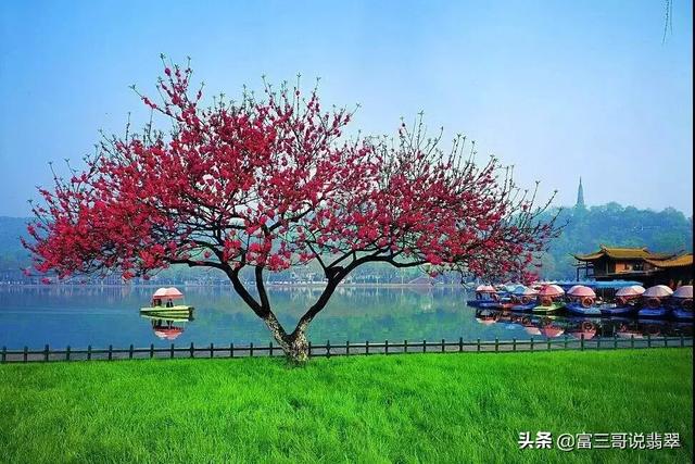 翡翠原石满绿,苏州翡翠原石交易公盘地址-第1张图片-翡翠网 翡翠原石满绿,苏州翡翠原石交易公盘地址-第1张图片-翡翠网