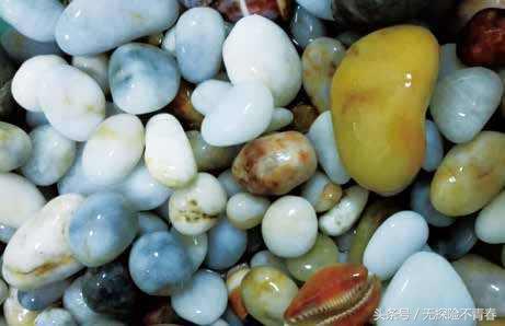 会卡翡翠原石的特点,琼海翡翠的原石-第6张图片-翡翠网 会卡翡翠原石的特点,琼海翡翠的原石-第6张图片-翡翠网