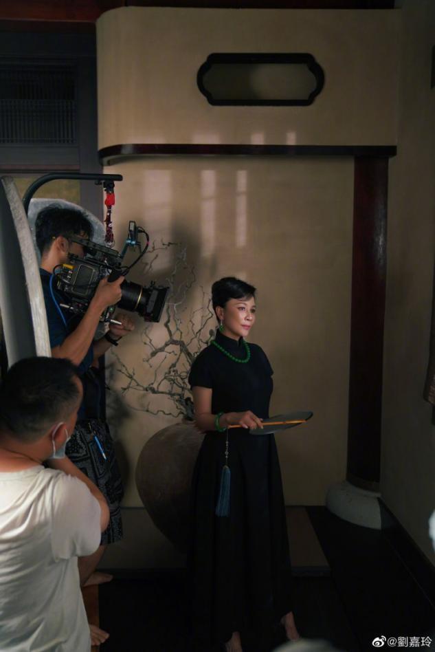 刘晓庆翡翠首饰刘嘉玲翡翠知识清单-第2张图片-翡翠网 刘晓庆翡翠首饰刘嘉玲翡翠知识清单-第2张图片-翡翠网