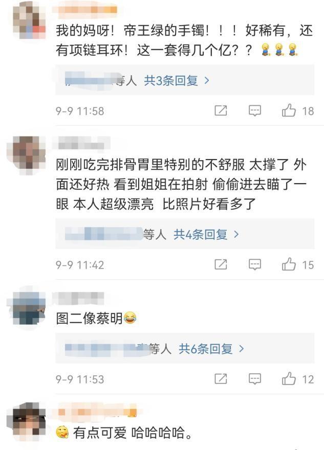 刘晓庆翡翠首饰刘嘉玲翡翠知识清单-第3张图片-翡翠网 刘晓庆翡翠首饰刘嘉玲翡翠知识清单-第3张图片-翡翠网