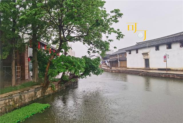 怎么选翡翠原石,绍兴水乡翡翠原石-第12张图片-翡翠网 怎么选翡翠原石,绍兴水乡翡翠原石-第12张图片-翡翠网