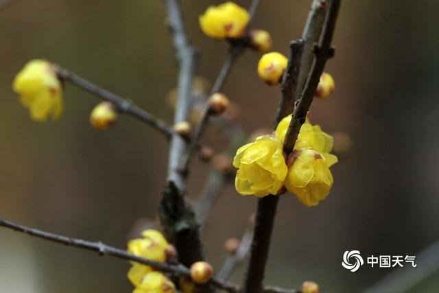 翡翠原石做什么好卖,金华卖翡翠原石-第2张图片-翡翠网