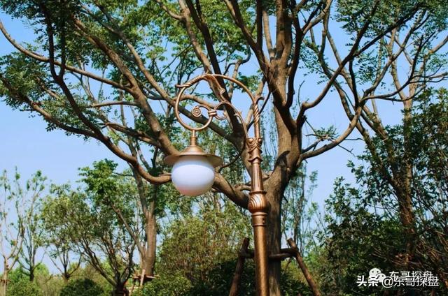 碧桂园翡翠湾,碧桂园翡翠湾二期最新价格-第12张图片-翡翠网 碧桂园翡翠湾,碧桂园翡翠湾二期最新价格-第12张图片-翡翠网