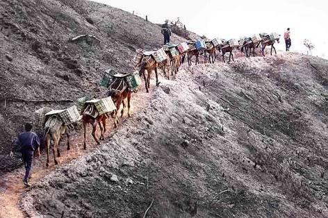 翡翠原石每日一问,翡翠原石叫什么-第1张图片-翡翠网 翡翠原石每日一问,翡翠原石叫什么-第1张图片-翡翠网