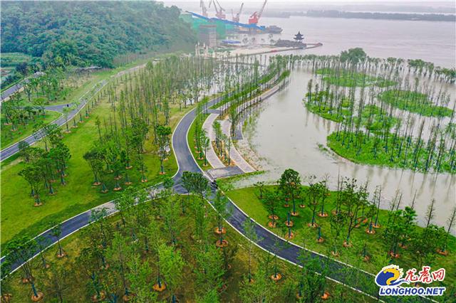 金陵小强翡翠知识的简单介绍-第4张图片-翡翠网 金陵小强翡翠知识的简单介绍-第4张图片-翡翠网