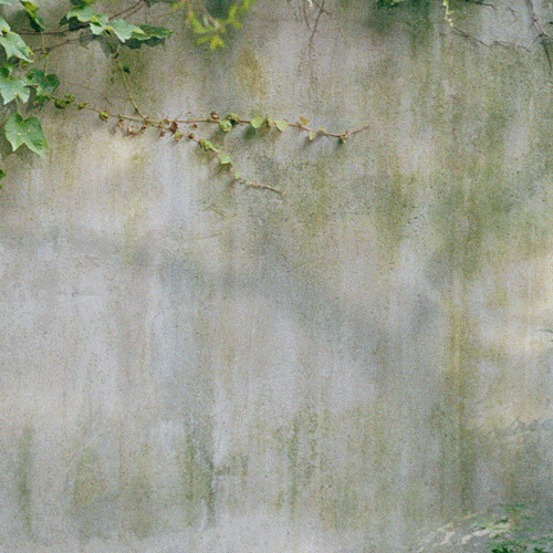 弥漫翡翠原石讲解视频翡翠原石值钱吗-第73张图片-翡翠网 弥漫翡翠原石讲解视频翡翠原石值钱吗-第73张图片-翡翠网