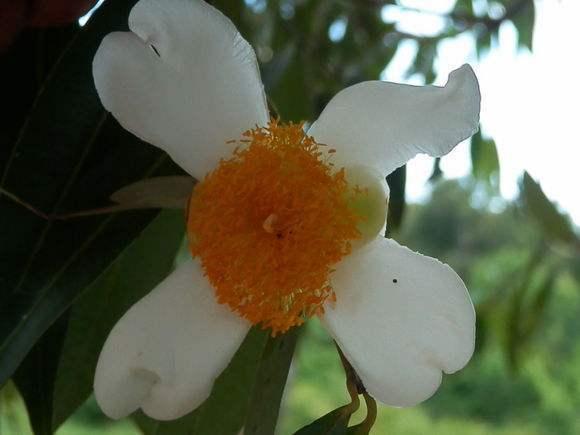 缅甸翡翠产区,缅甸翡翠论斤价格-第4张图片-翡翠网 缅甸翡翠产区,缅甸翡翠论斤价格-第4张图片-翡翠网