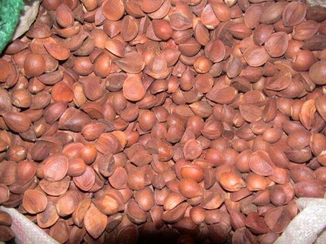 缅甸翡翠产区,缅甸翡翠论斤价格-第6张图片-翡翠网 缅甸翡翠产区,缅甸翡翠论斤价格-第6张图片-翡翠网