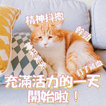 缅甸翡翠手镯茗生小铺,缅甸翡翠好不好-第1张图片-翡翠网 缅甸翡翠手镯茗生小铺,缅甸翡翠好不好-第1张图片-翡翠网