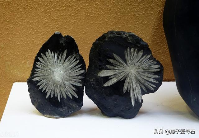 老坑种翡翠印章云南翡翠绿石印章料价格-第12张图片-翡翠网 老坑种翡翠印章云南翡翠绿石印章料价格-第12张图片-翡翠网