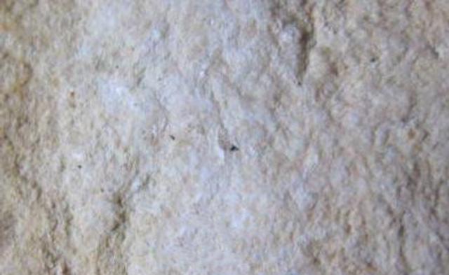 翡翠原石皮色和底色的区别,原石色和底**别-第2张图片-翡翠网 翡翠原石皮色和底色的区别,原石色和底**别-第2张图片-翡翠网