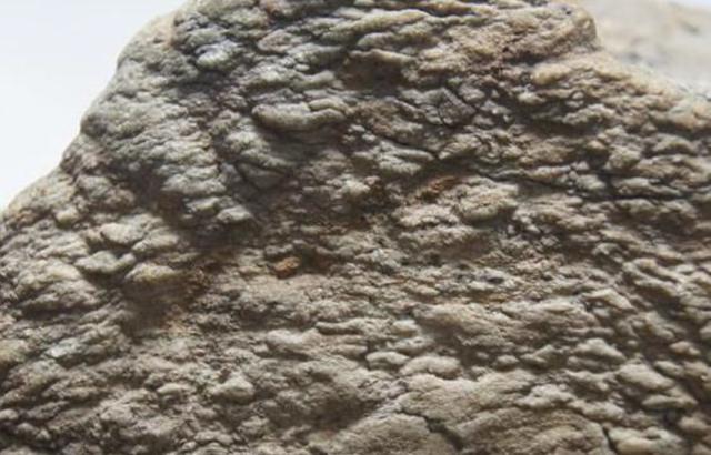 翡翠原石皮色和底色的区别,原石色和底**别-第9张图片-翡翠网 翡翠原石皮色和底色的区别,原石色和底**别-第9张图片-翡翠网