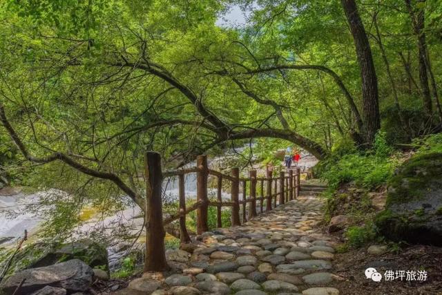 翡翠原石知识户县玉石翡翠原石-第9张图片-翡翠网 翡翠原石知识户县玉石翡翠原石-第9张图片-翡翠网