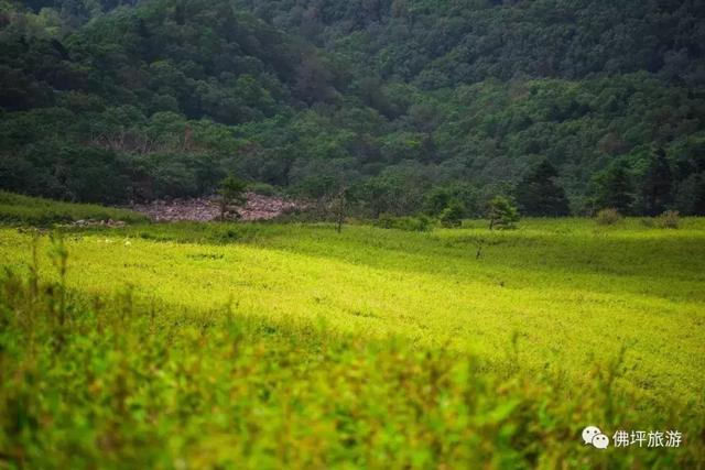 翡翠原石知识户县玉石翡翠原石-第11张图片-翡翠网 翡翠原石知识户县玉石翡翠原石-第11张图片-翡翠网