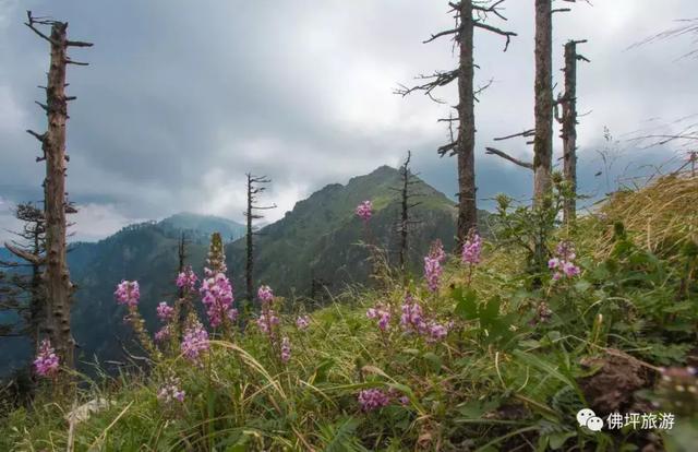 翡翠原石知识户县玉石翡翠原石-第12张图片-翡翠网 翡翠原石知识户县玉石翡翠原石-第12张图片-翡翠网