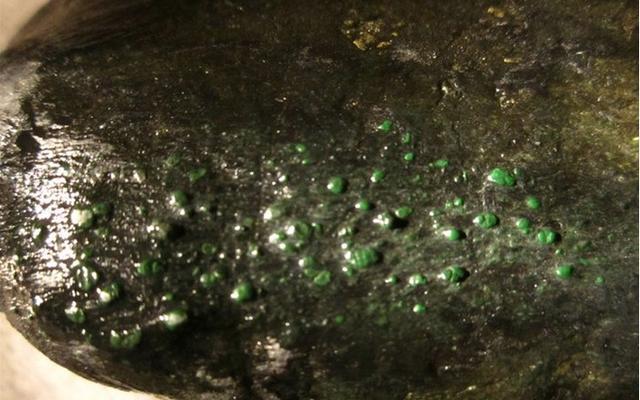 翡翠原石的成分,翡翠原石表皮的成分-第1张图片-翡翠网 翡翠原石的成分,翡翠原石表皮的成分-第1张图片-翡翠网