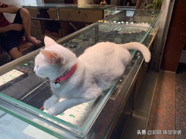 广州好又多翡翠知识广州好又多餐饮公司配餐服务投诉-第19张图片-翡翠网 广州好又多翡翠知识广州好又多餐饮公司配餐服务投诉-第19张图片-翡翠网