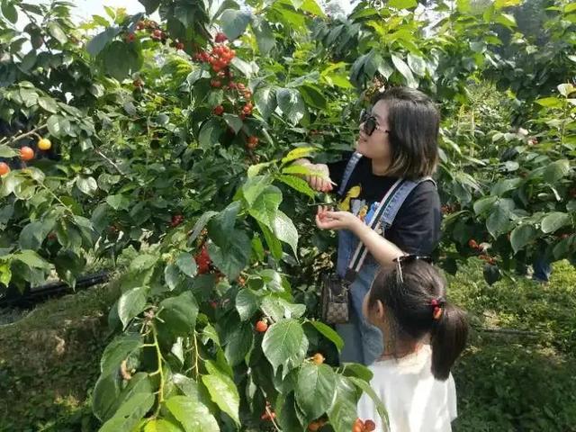 乐山旅游翡翠价格峨眉山导游让买玉-第3张图片-翡翠网 乐山旅游翡翠价格峨眉山导游让买玉-第3张图片-翡翠网