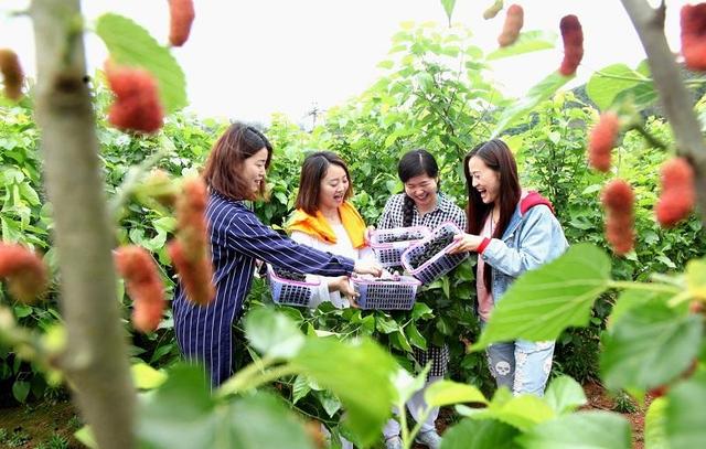 乐山旅游翡翠价格峨眉山导游让买玉-第15张图片-翡翠网 乐山旅游翡翠价格峨眉山导游让买玉-第15张图片-翡翠网