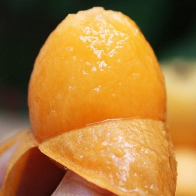 乐山旅游翡翠价格峨眉山导游让买玉-第19张图片-翡翠网 乐山旅游翡翠价格峨眉山导游让买玉-第19张图片-翡翠网