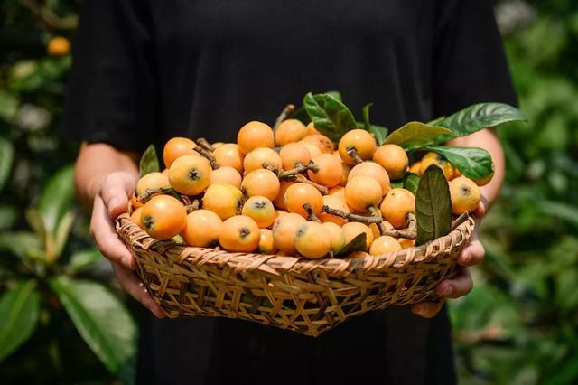 乐山旅游翡翠价格峨眉山导游让买玉-第22张图片-翡翠网 乐山旅游翡翠价格峨眉山导游让买玉-第22张图片-翡翠网