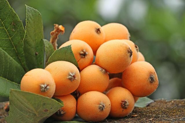 乐山旅游翡翠价格峨眉山导游让买玉-第25张图片-翡翠网 乐山旅游翡翠价格峨眉山导游让买玉-第25张图片-翡翠网