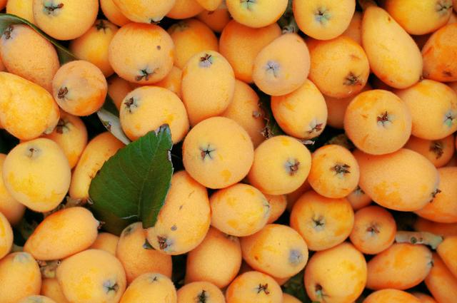 乐山旅游翡翠价格峨眉山导游让买玉-第28张图片-翡翠网 乐山旅游翡翠价格峨眉山导游让买玉-第28张图片-翡翠网