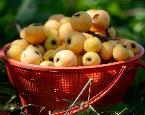 乐山旅游翡翠价格峨眉山导游让买玉-第29张图片-翡翠网 乐山旅游翡翠价格峨眉山导游让买玉-第29张图片-翡翠网