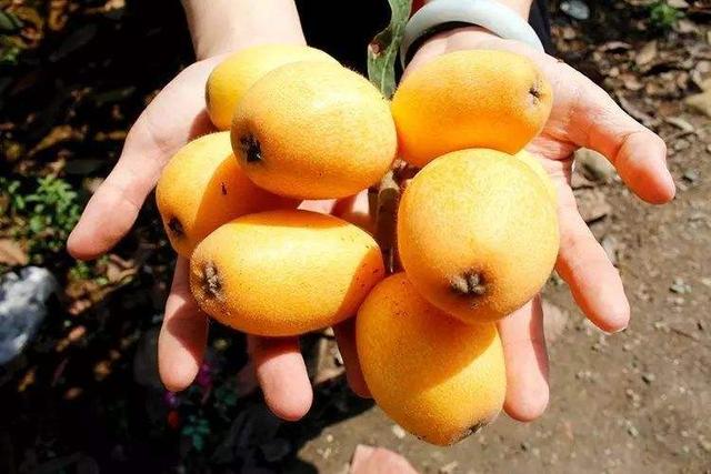 乐山旅游翡翠价格峨眉山导游让买玉-第30张图片-翡翠网 乐山旅游翡翠价格峨眉山导游让买玉-第30张图片-翡翠网