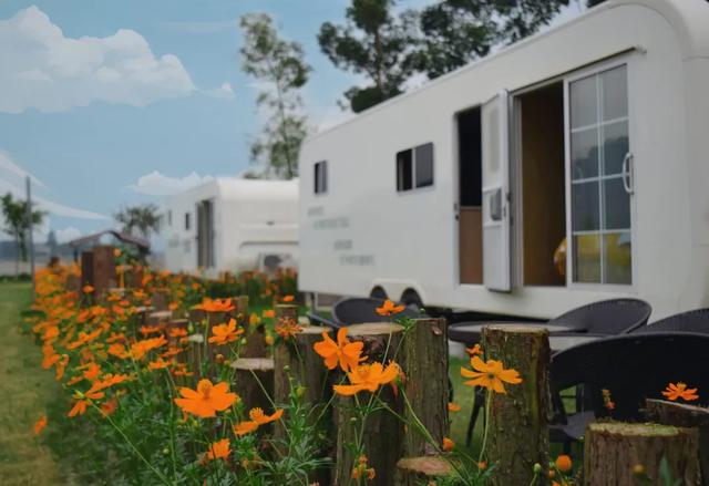 乐山旅游翡翠价格峨眉山导游让买玉-第34张图片-翡翠网 乐山旅游翡翠价格峨眉山导游让买玉-第34张图片-翡翠网