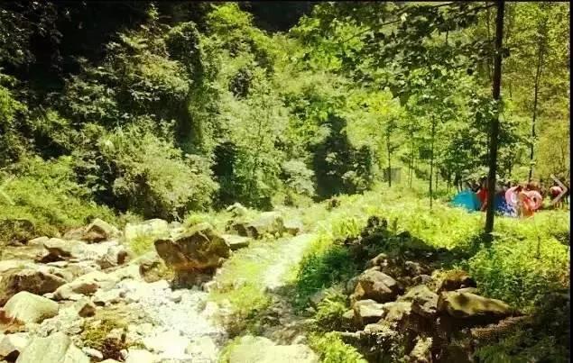 乐山旅游翡翠价格峨眉山导游让买玉-第35张图片-翡翠网 乐山旅游翡翠价格峨眉山导游让买玉-第35张图片-翡翠网