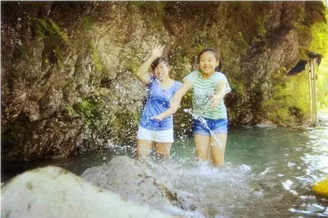 乐山旅游翡翠价格峨眉山导游让买玉-第36张图片-翡翠网 乐山旅游翡翠价格峨眉山导游让买玉-第36张图片-翡翠网