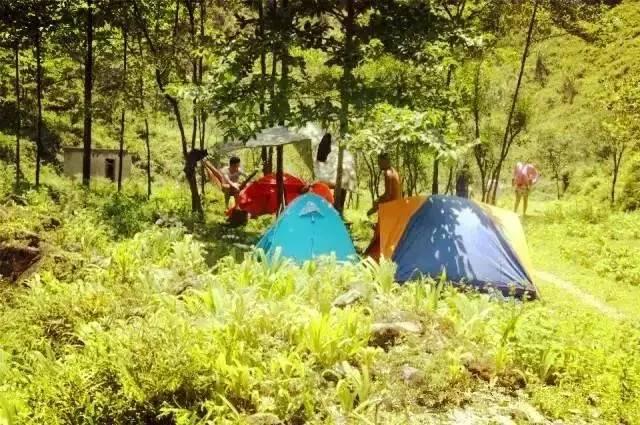 乐山旅游翡翠价格峨眉山导游让买玉-第37张图片-翡翠网 乐山旅游翡翠价格峨眉山导游让买玉-第37张图片-翡翠网