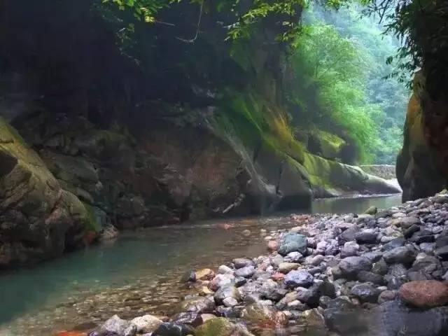 乐山旅游翡翠价格峨眉山导游让买玉-第38张图片-翡翠网 乐山旅游翡翠价格峨眉山导游让买玉-第38张图片-翡翠网