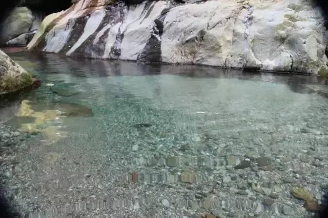 乐山旅游翡翠价格峨眉山导游让买玉-第39张图片-翡翠网 乐山旅游翡翠价格峨眉山导游让买玉-第39张图片-翡翠网