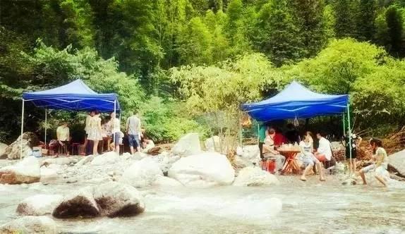 乐山旅游翡翠价格峨眉山导游让买玉-第40张图片-翡翠网 乐山旅游翡翠价格峨眉山导游让买玉-第40张图片-翡翠网